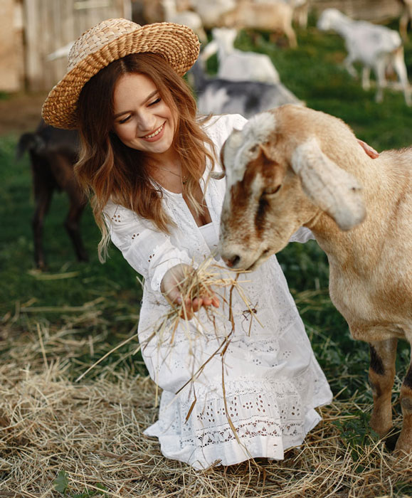 Woman feeding a goat